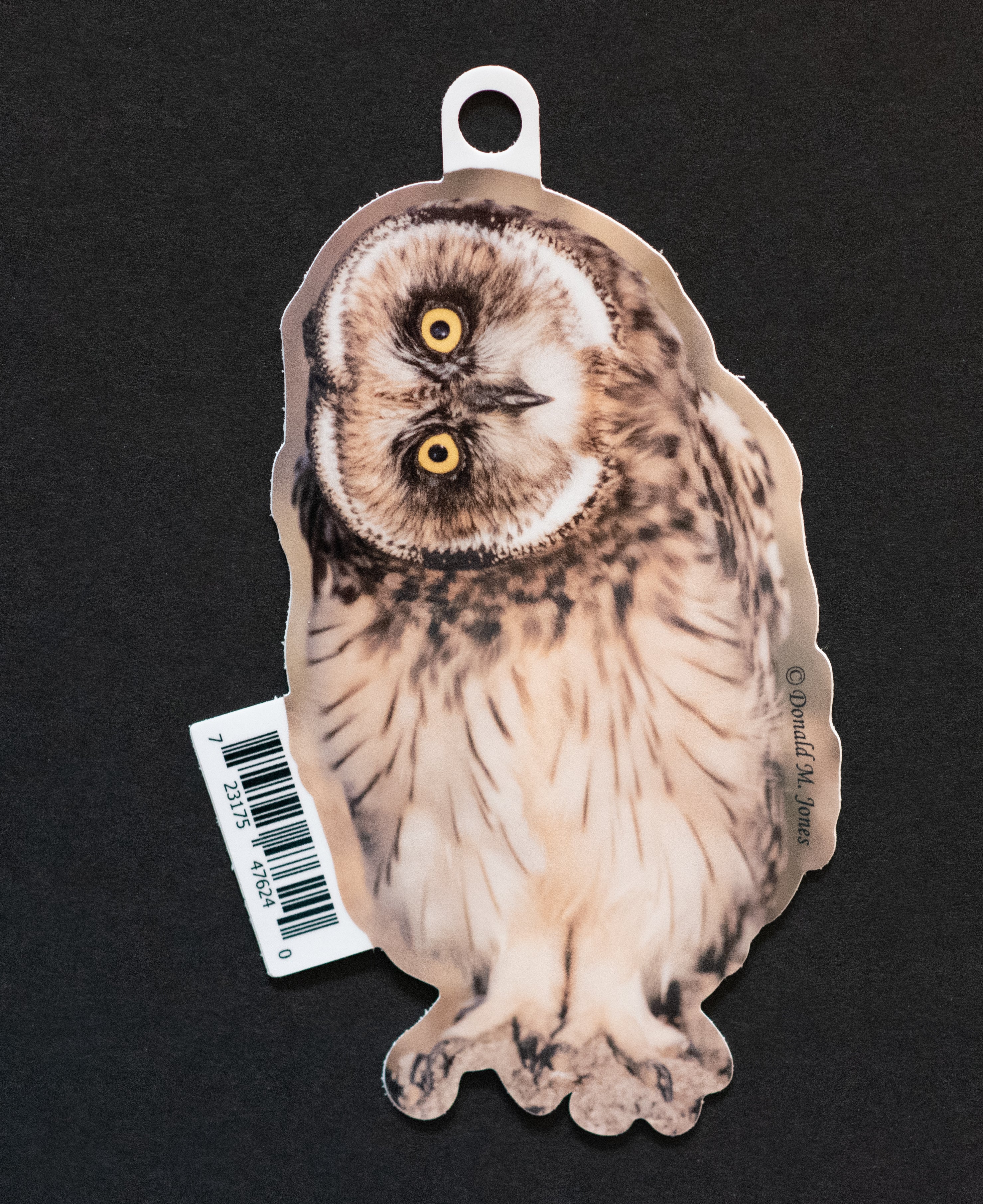 Short-Eared Owl Vinyl Sticker - 6" Die Cut