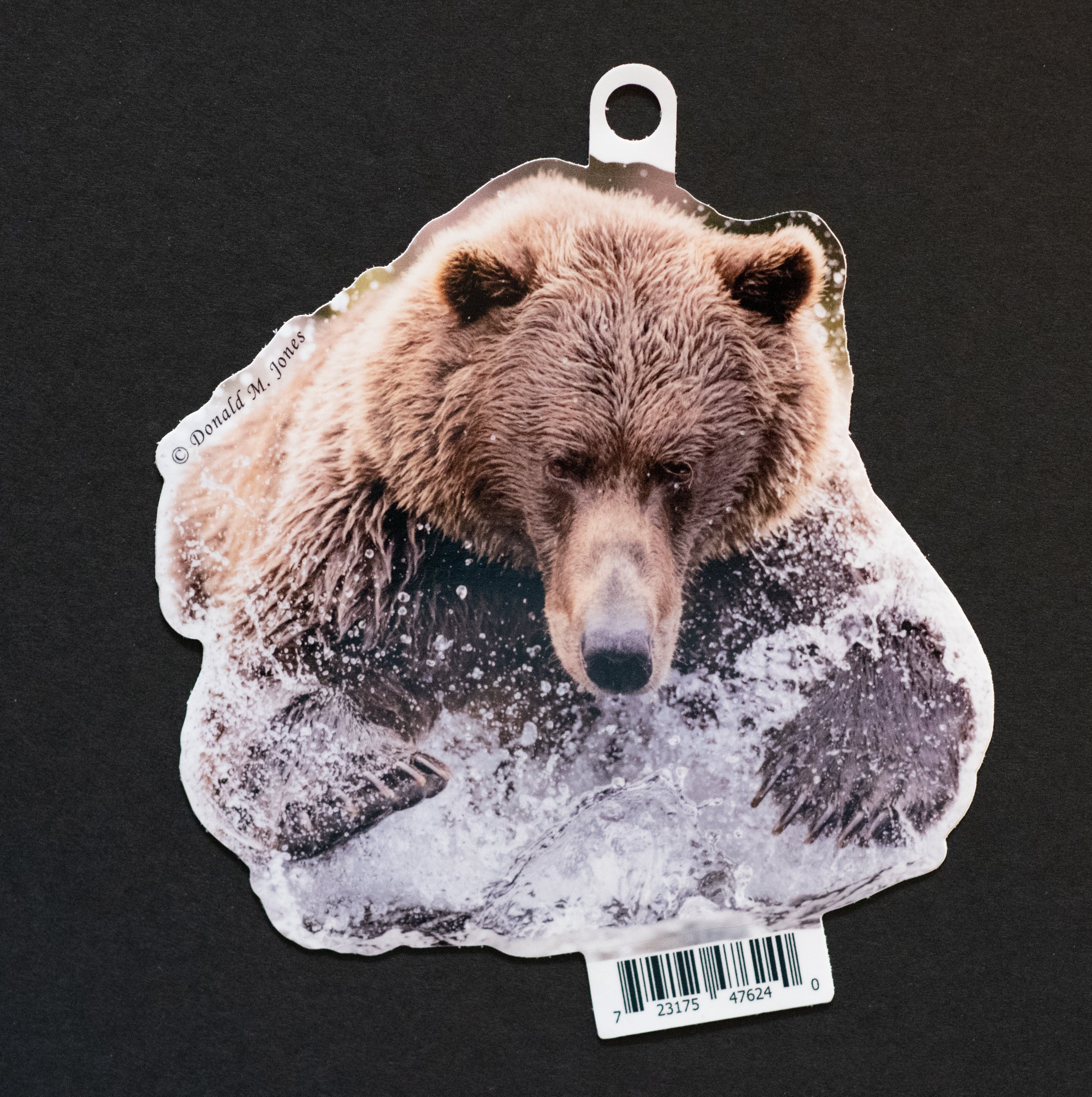Grizzly Bear Vinyl Sticker - 6" Die Cut
