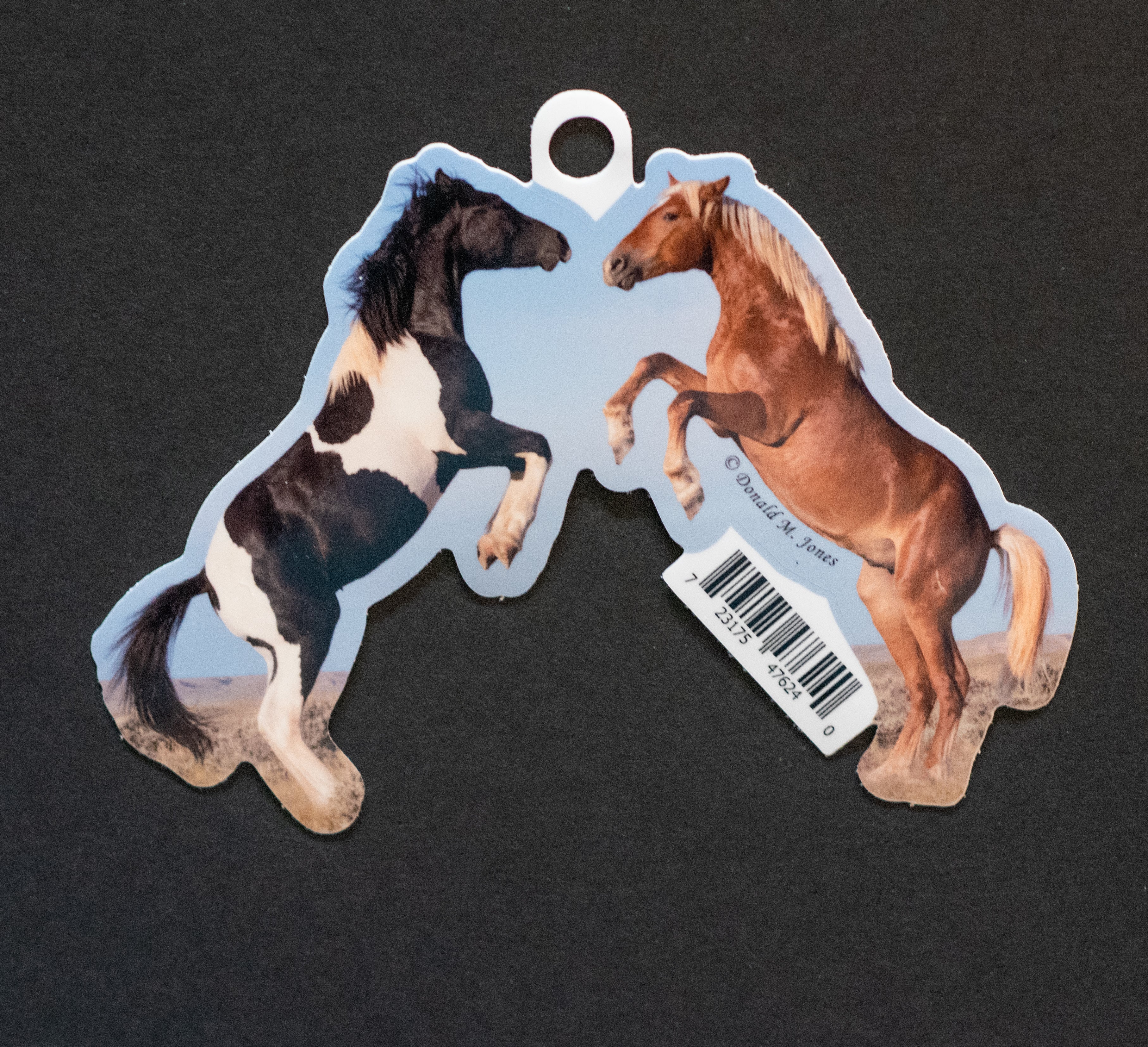 Wild Stallions Vinyl Sticker - 6" Die Cut
