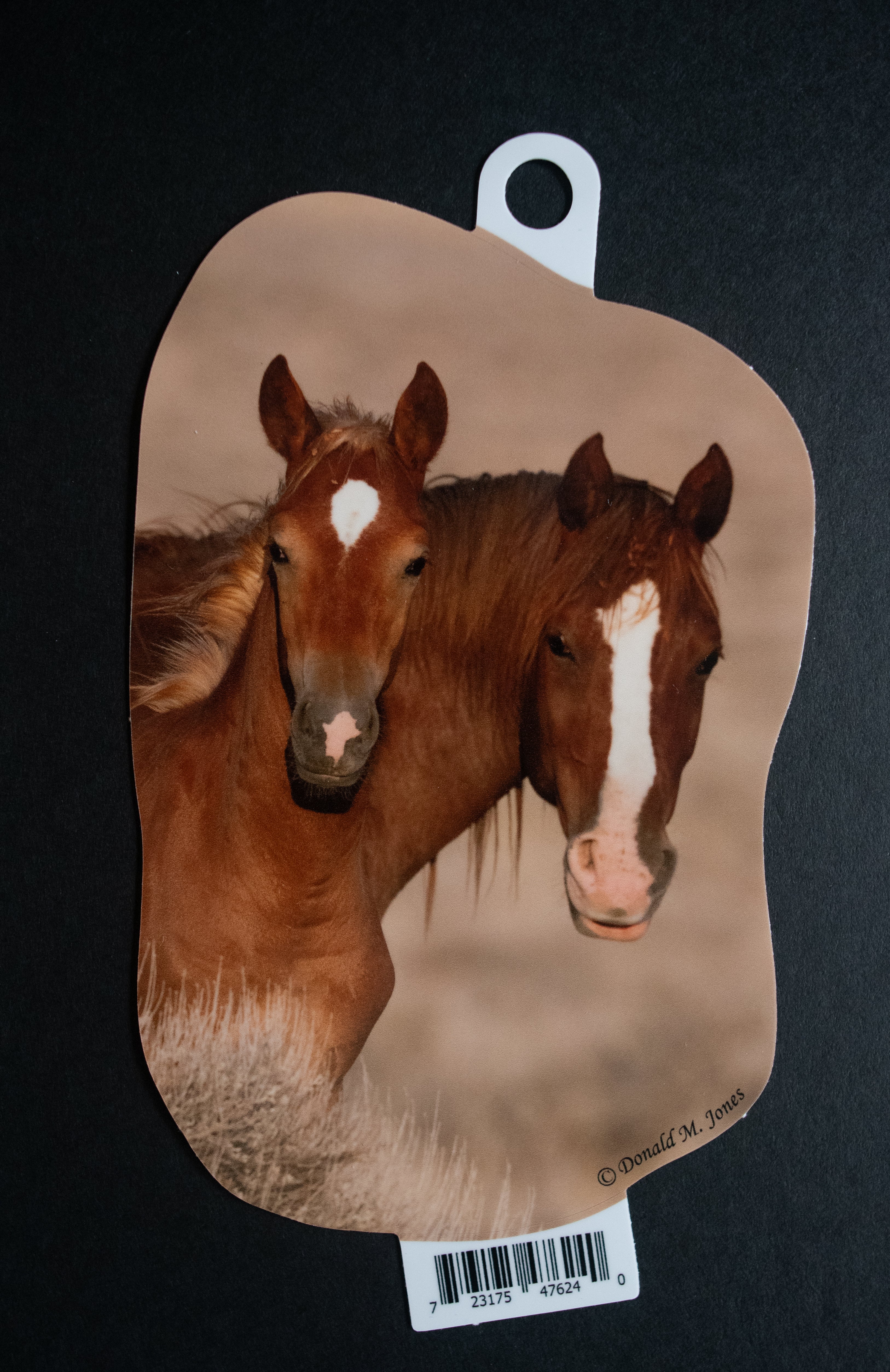Wild Horses