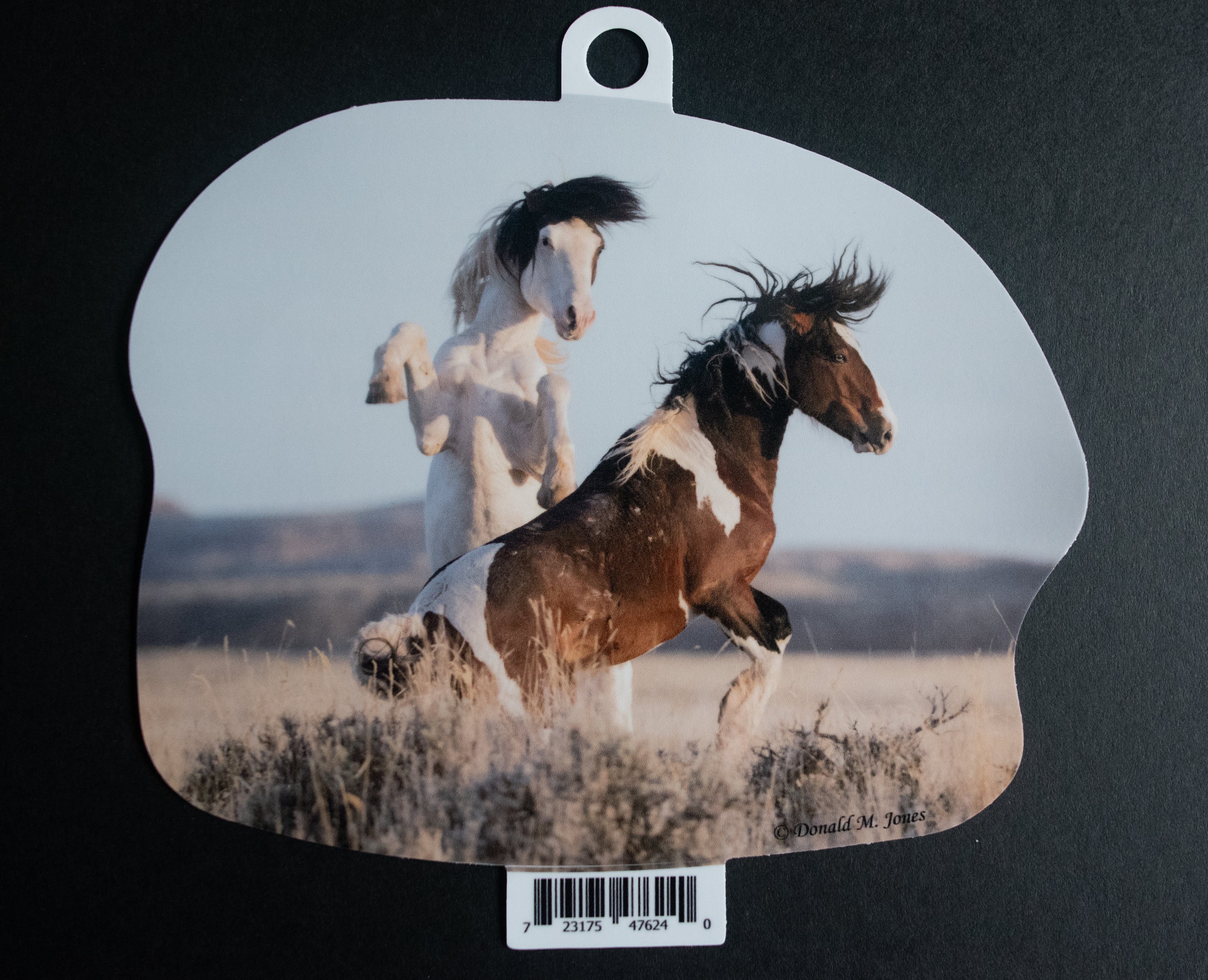 Dueling Stallions
