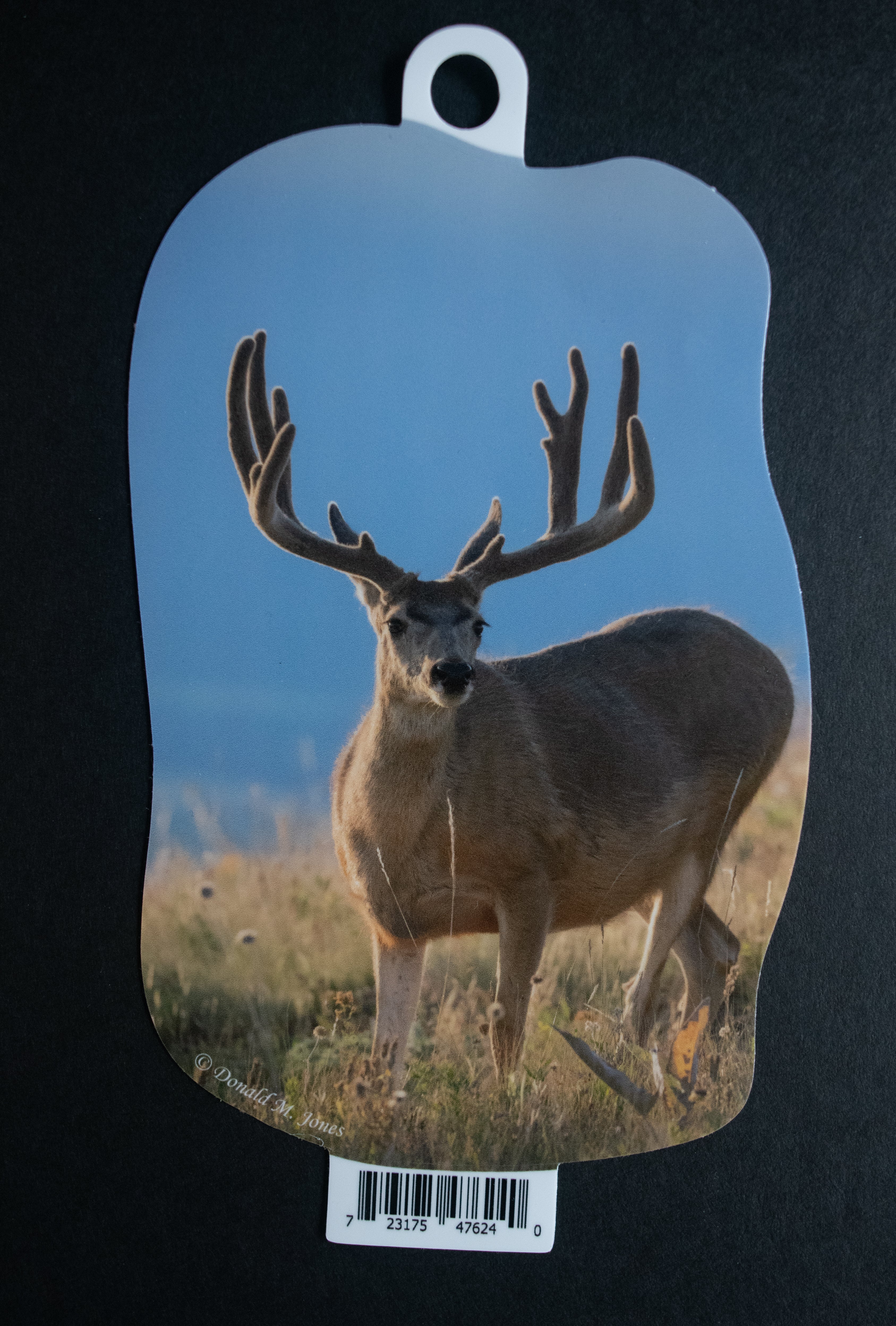 Mule Buck