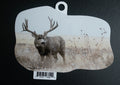 Mule Deer Buck