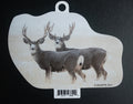 Muleys