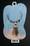Mule Deer