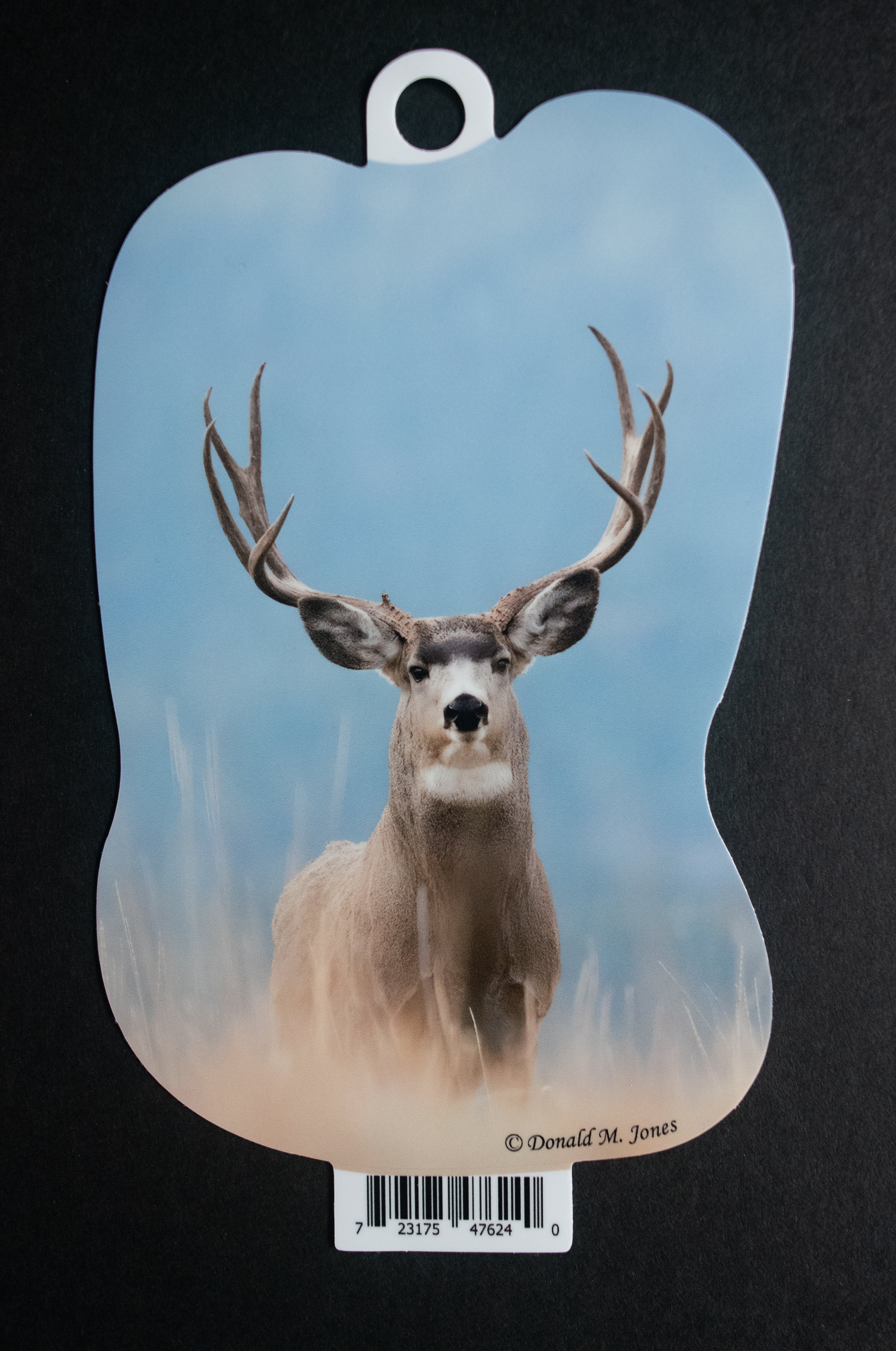 Mule Deer