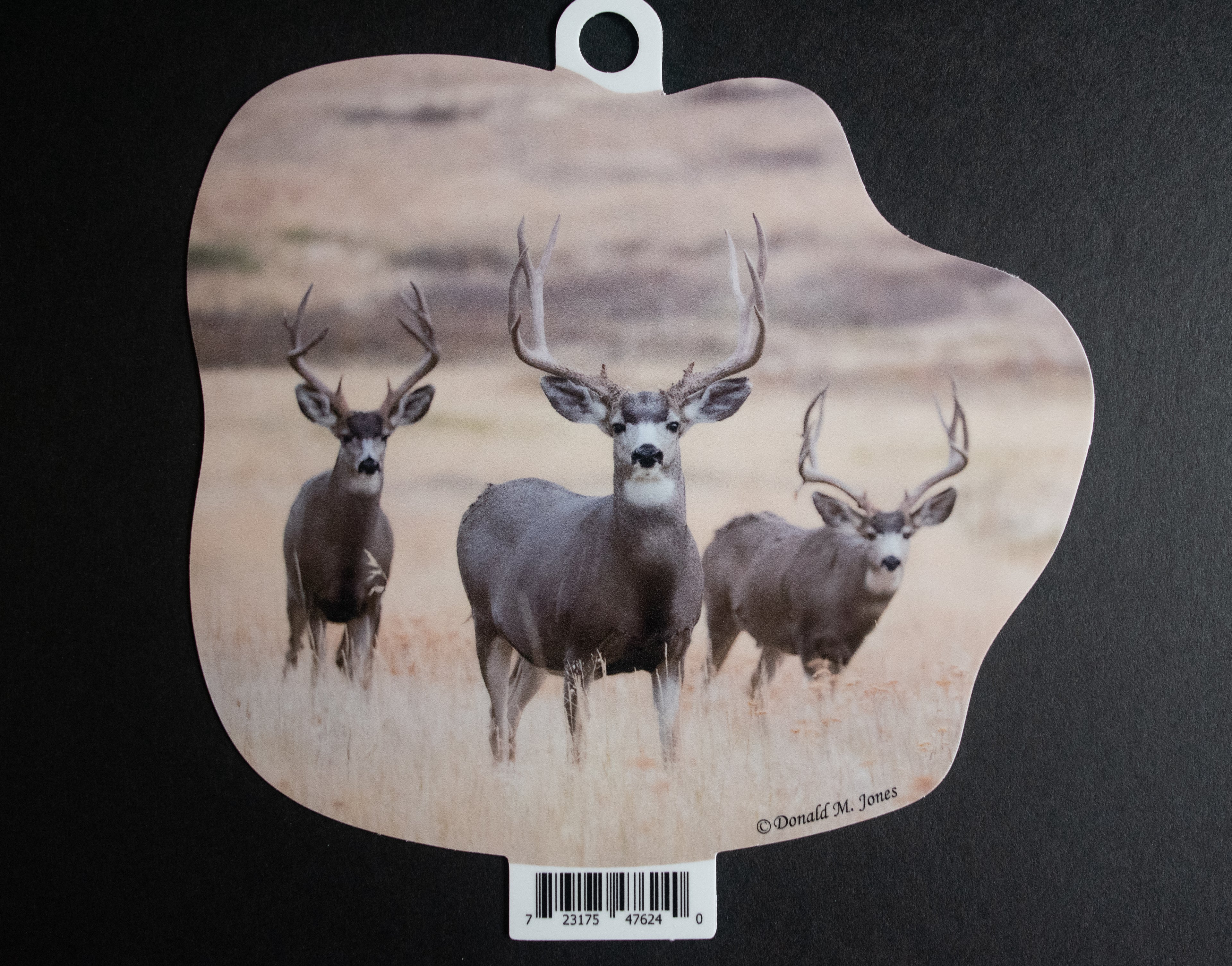 Mule Deer Bucks