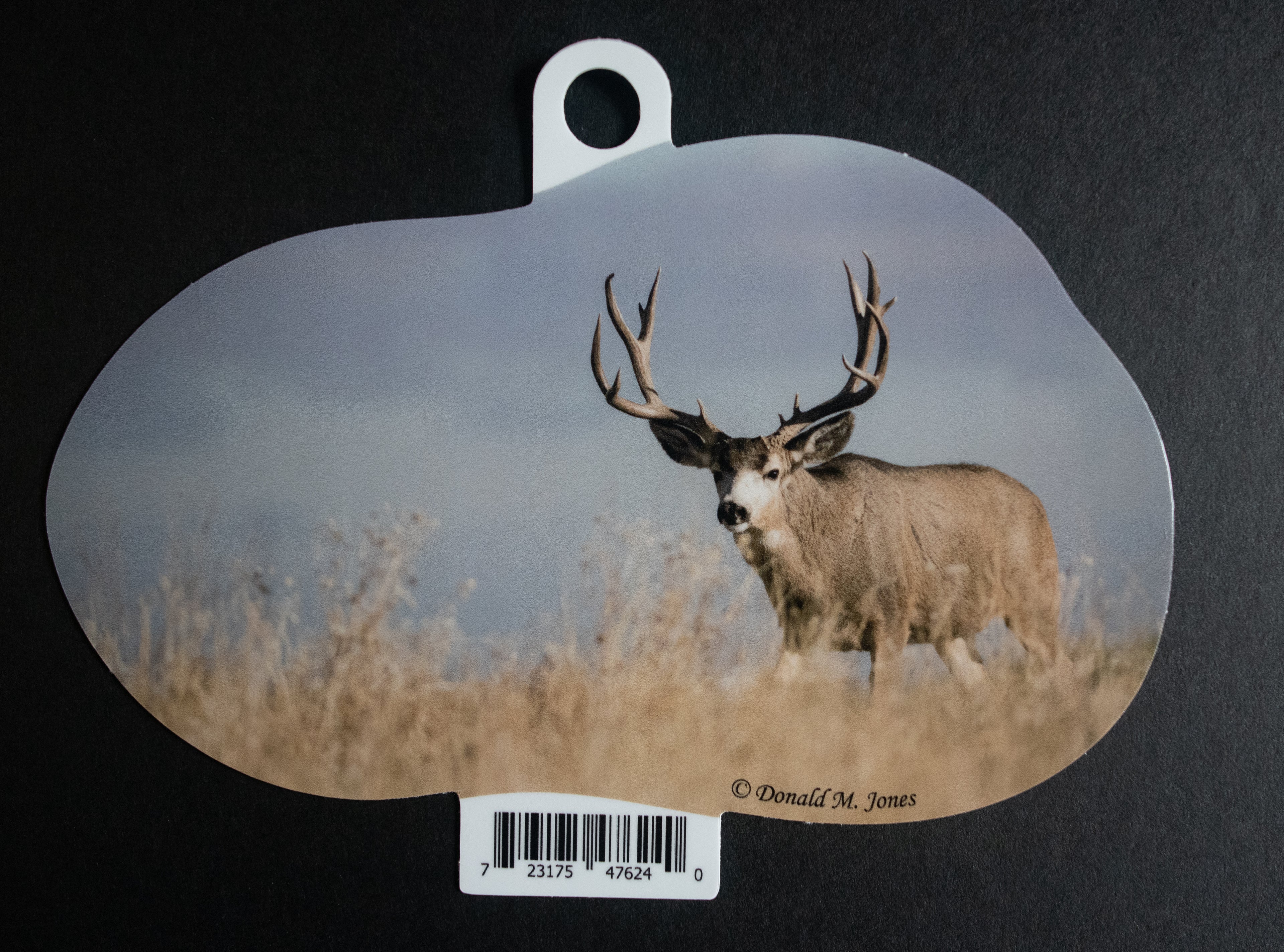 Mule Deer