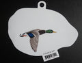 Mallard in Flight