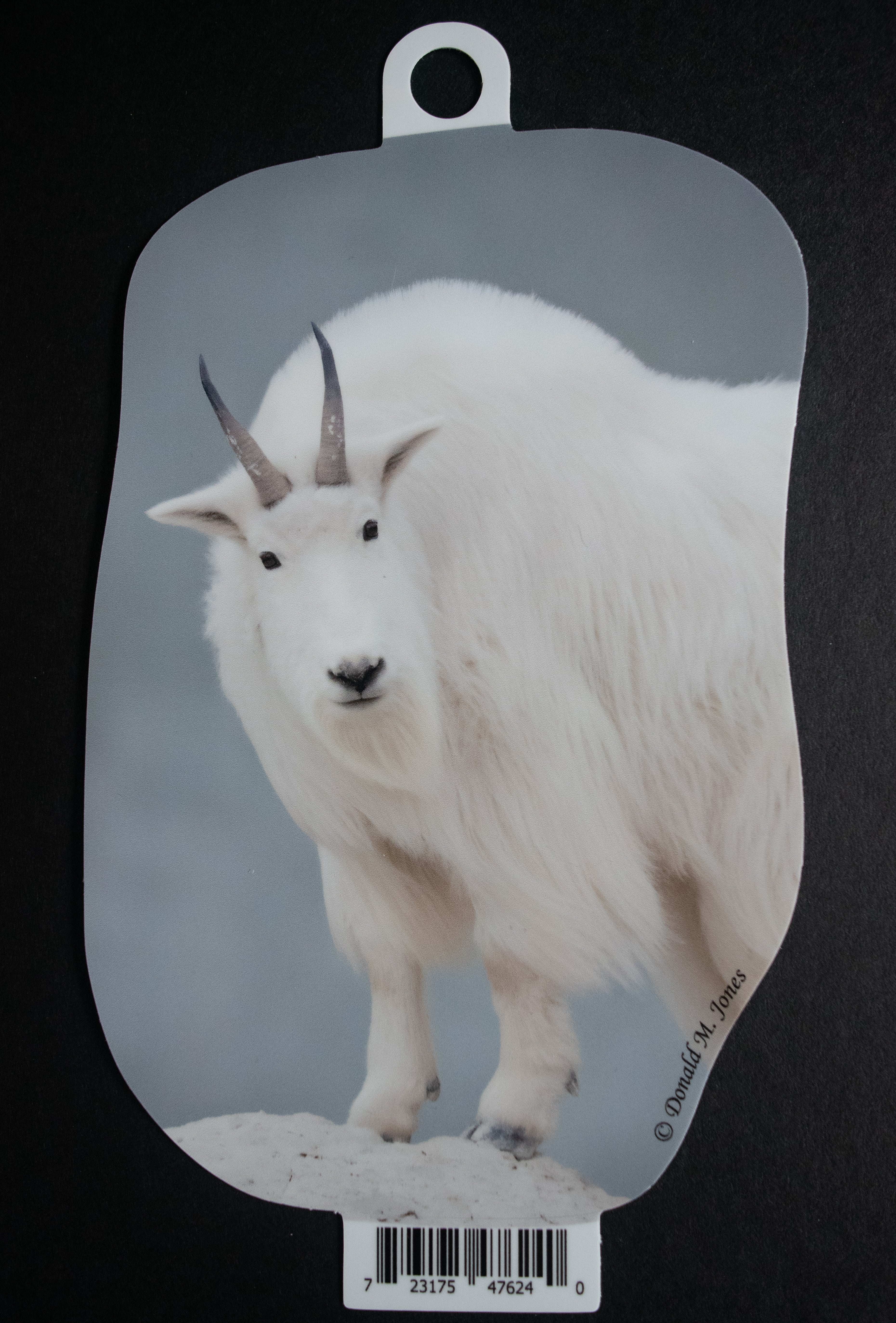 Mountain Goat Billy