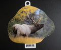 Bull Elk