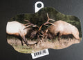 Elk Bulls Duel