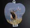 Majestic Bull Elk