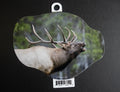 Bull Elk
