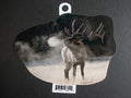 Bull Elk