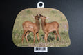 Elk Calves