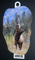 Bull Elk