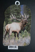 Bull Elk Call