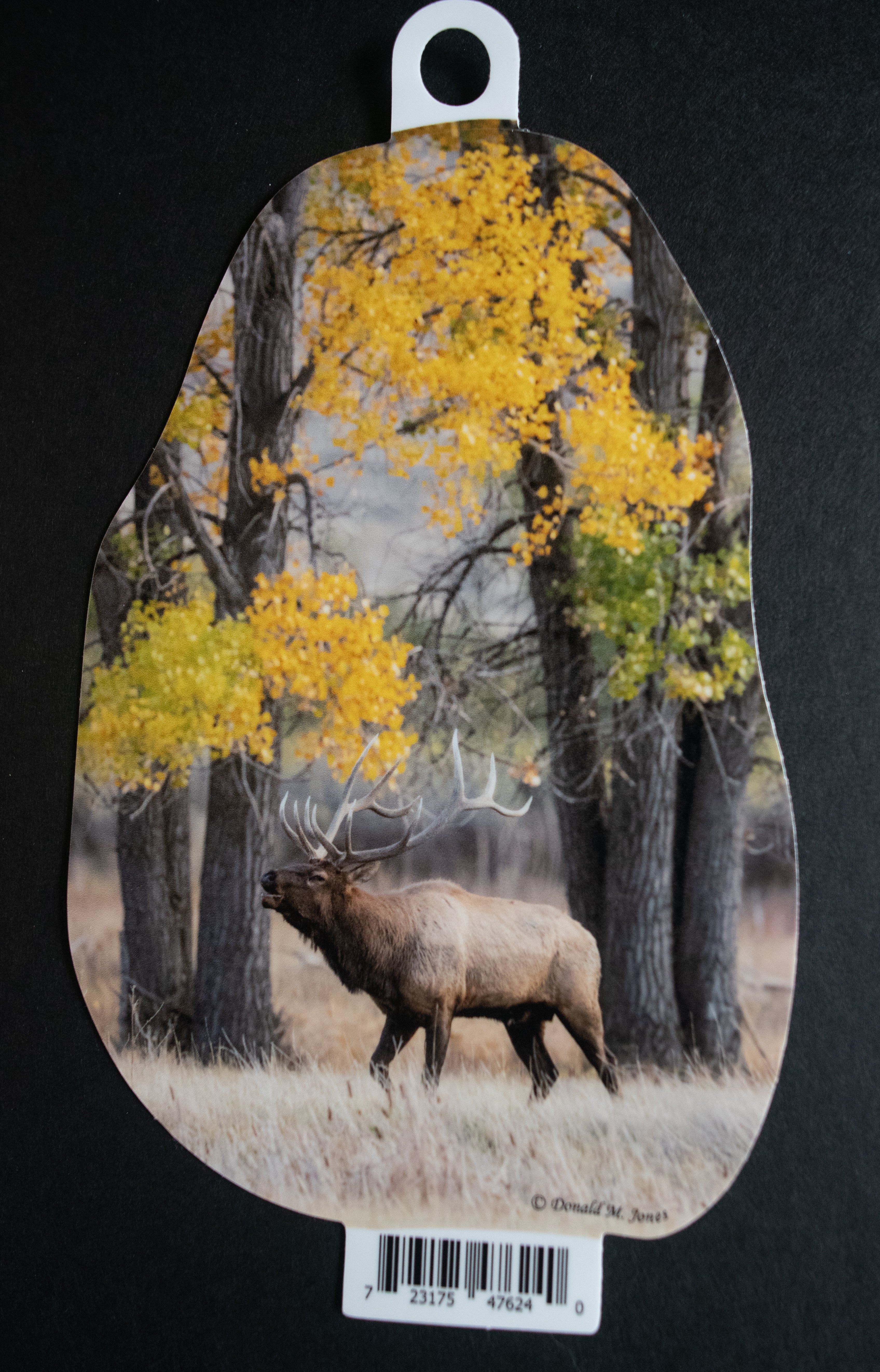 Bull Elk and Trees