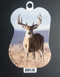 Whitetail Buck