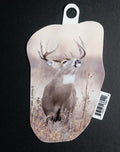 Whitetail Buck