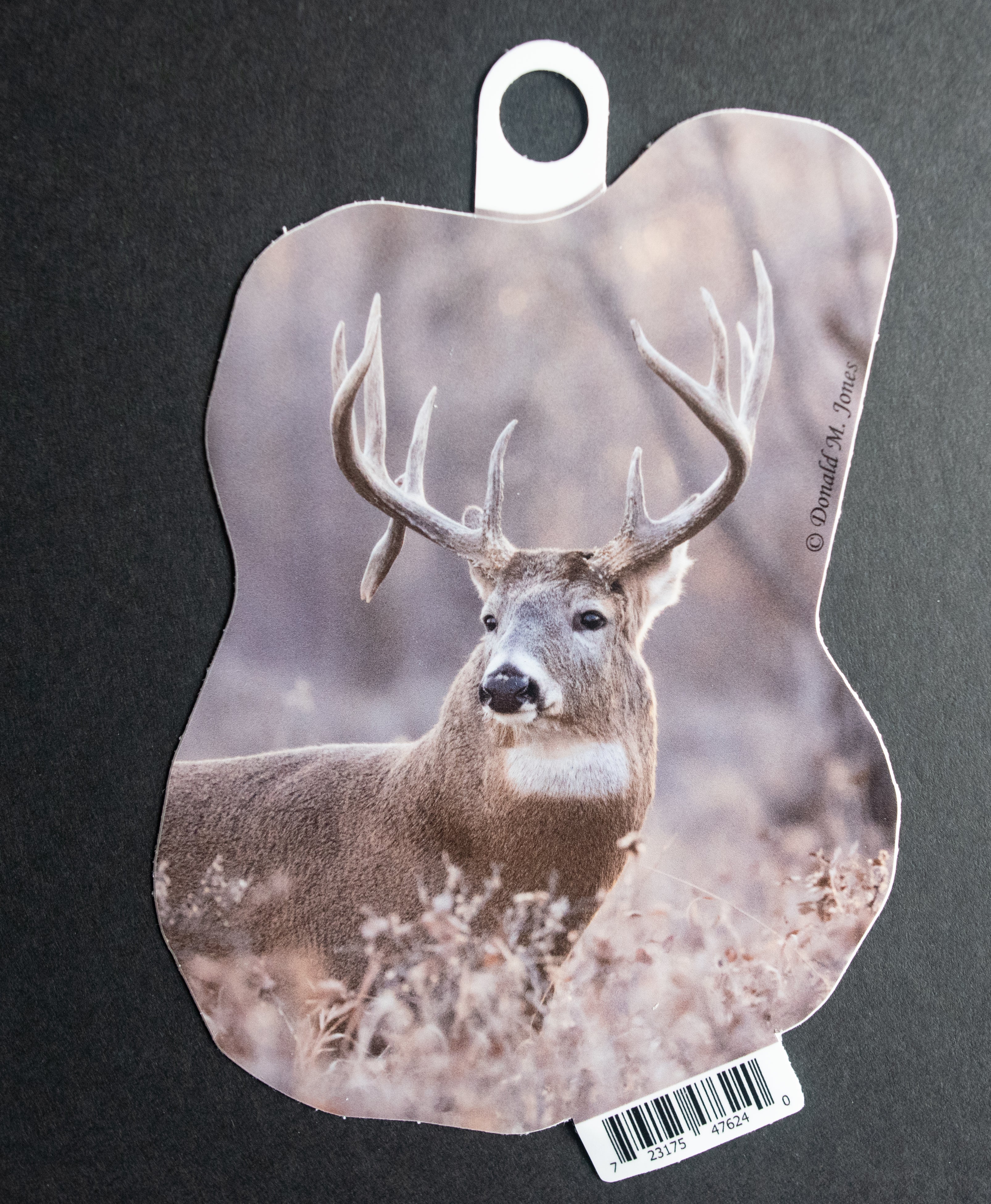 Whitetail Buck - Nontypical