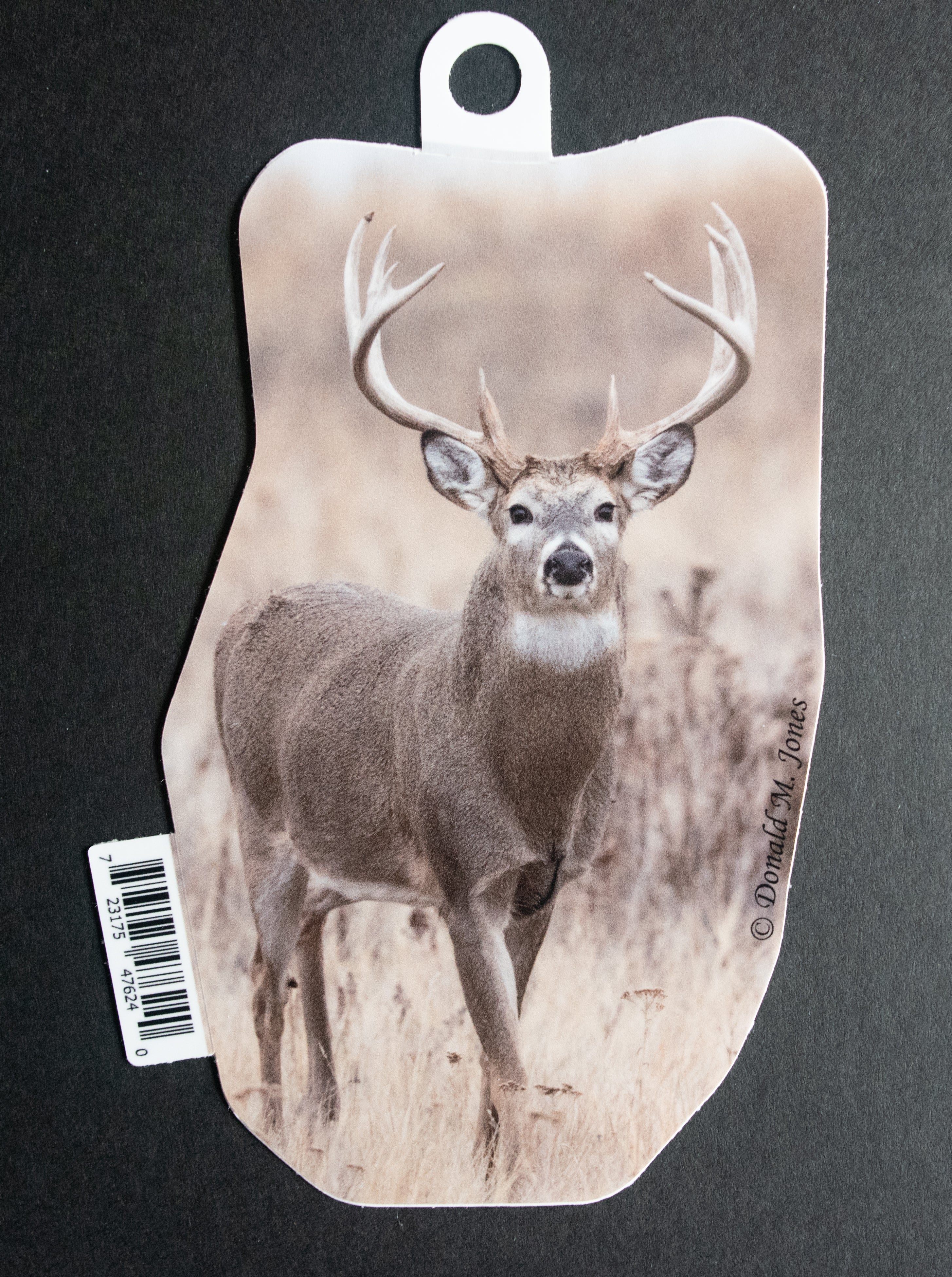 Whitetail Buck