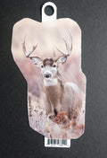Whitetail Buck — Surveying the Land