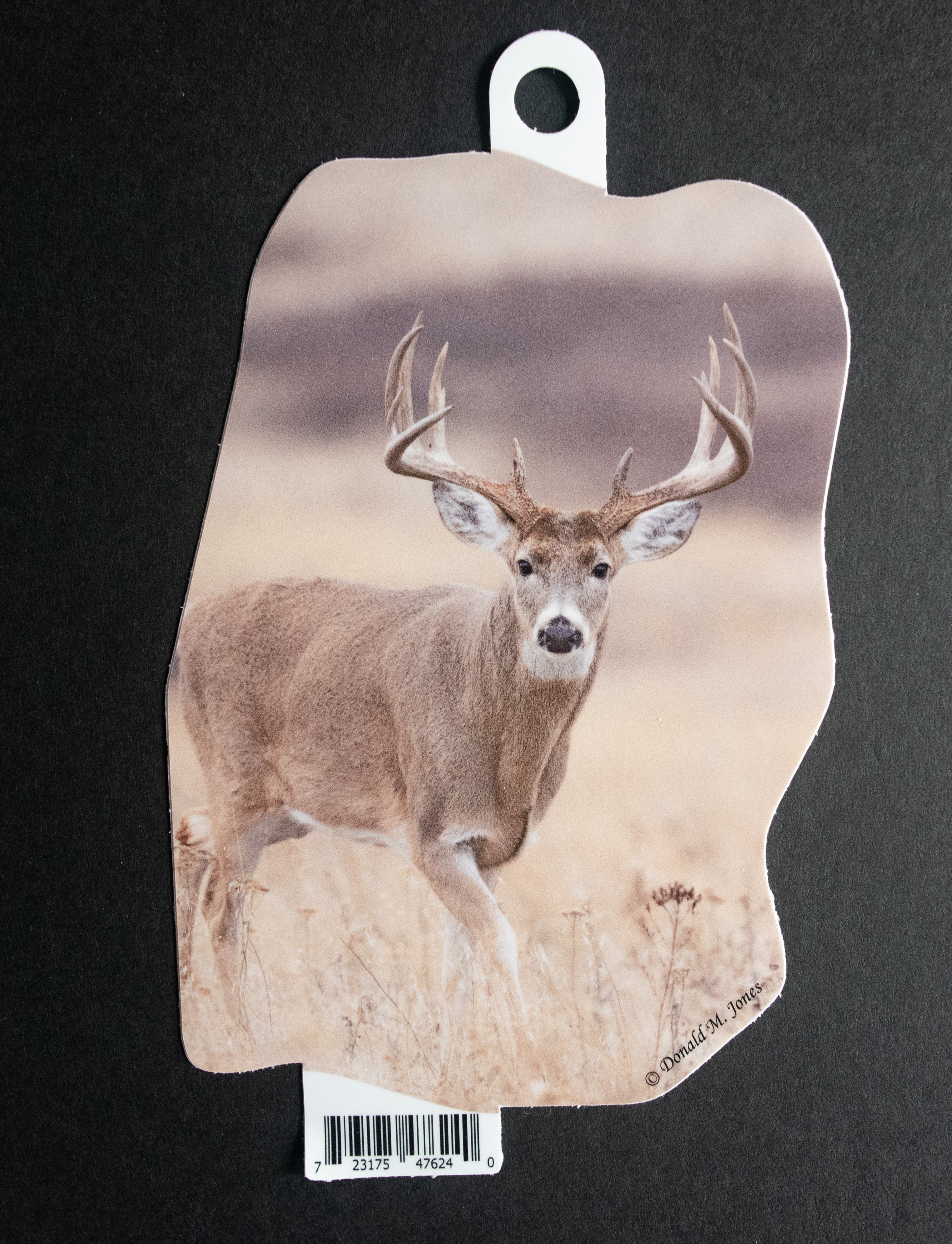 Whitetail Buck — Busted