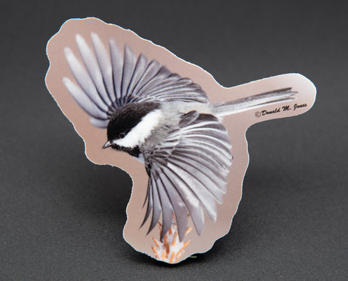 Black-capped Chickadee in flight wings spread die-cut sticker by Donald M. Jones