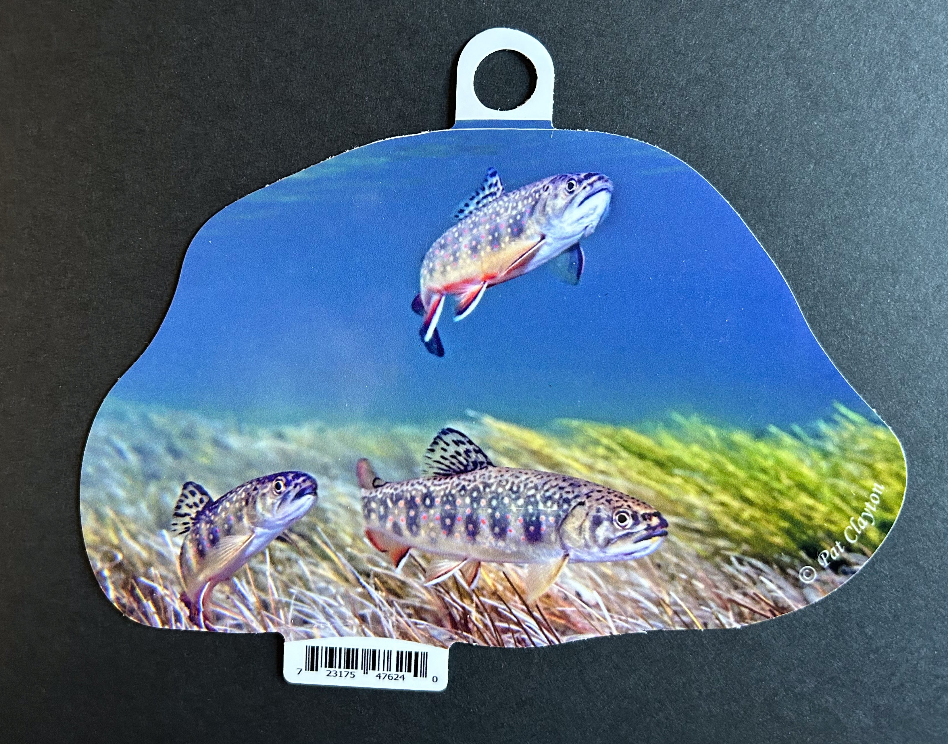 Brook Trout Vinyl Sticker - 6" Die Cut