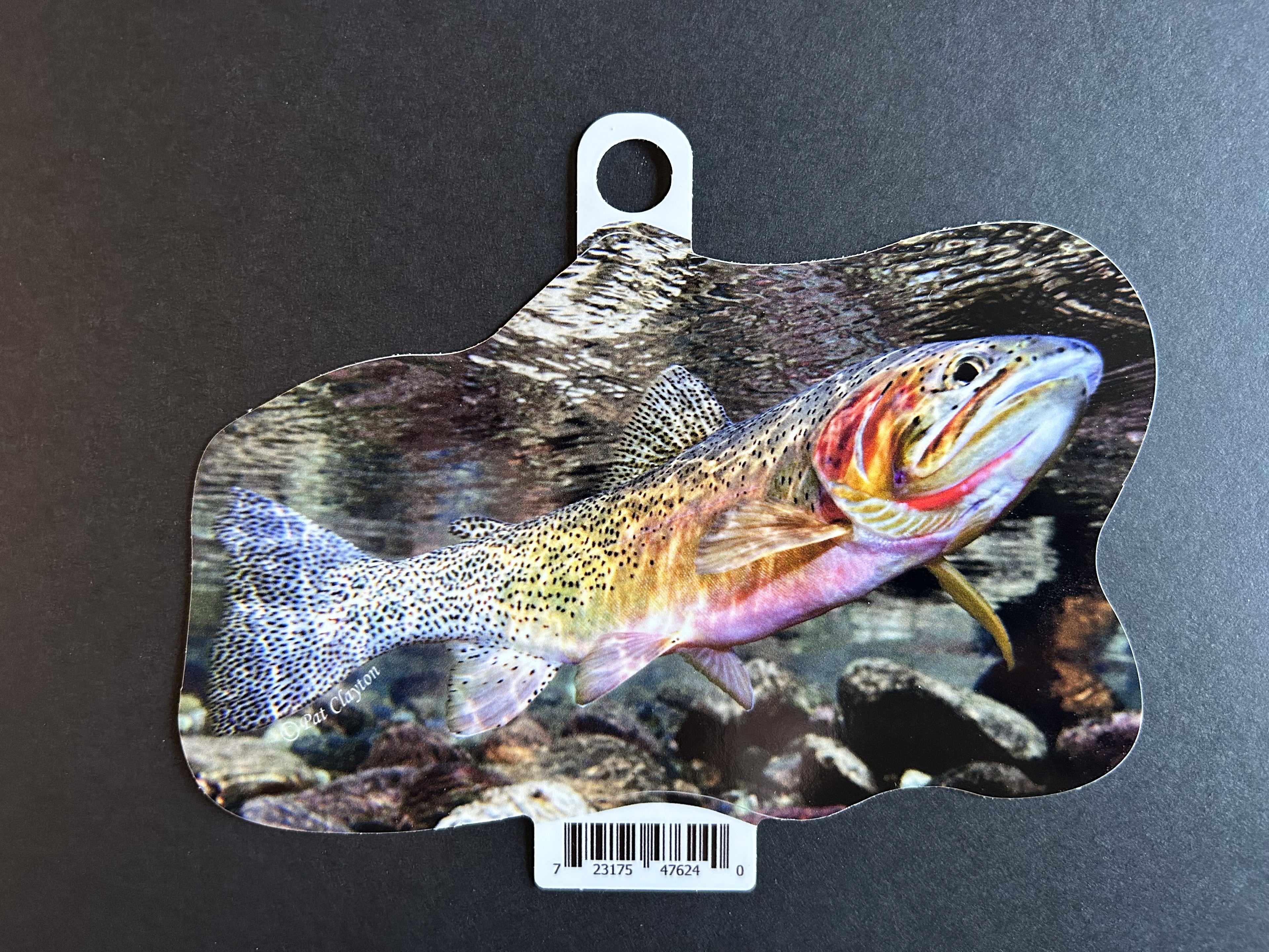 Westslope Cutthroat Trout