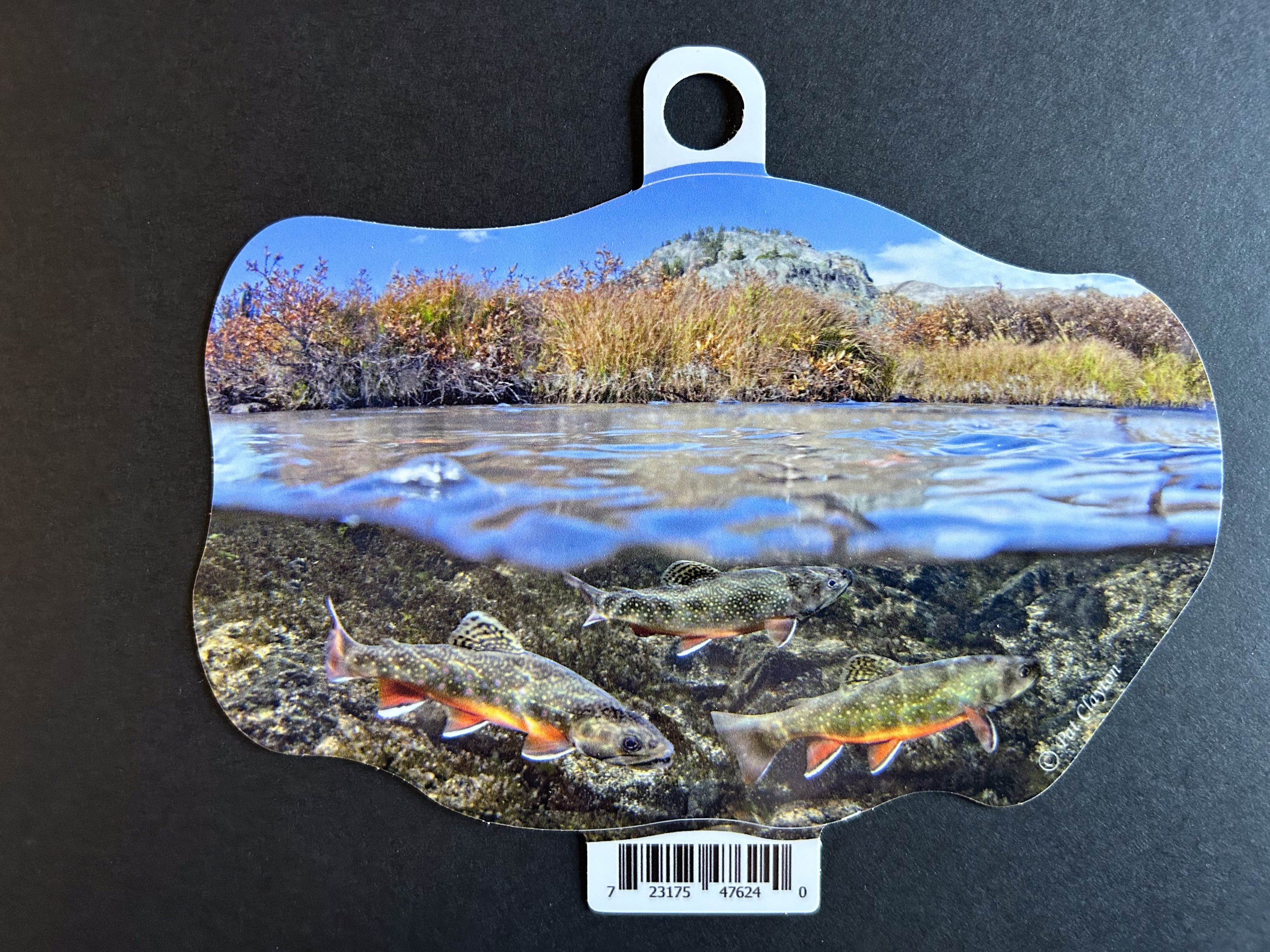 Brook Trout Vinyl Sticker - 6" Die Cut