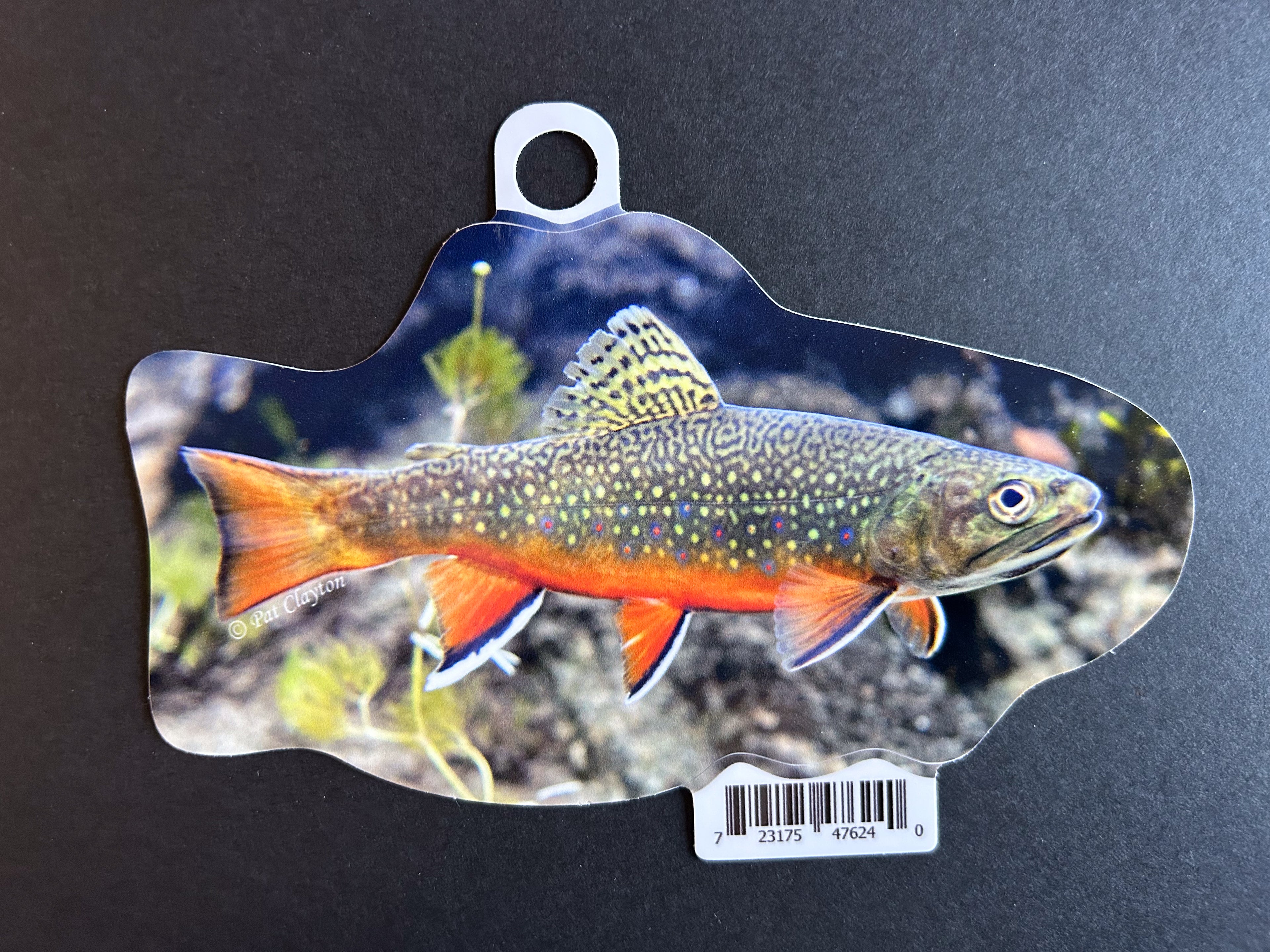 Brook Trout Vinyl Sticker - 6" Die Cut