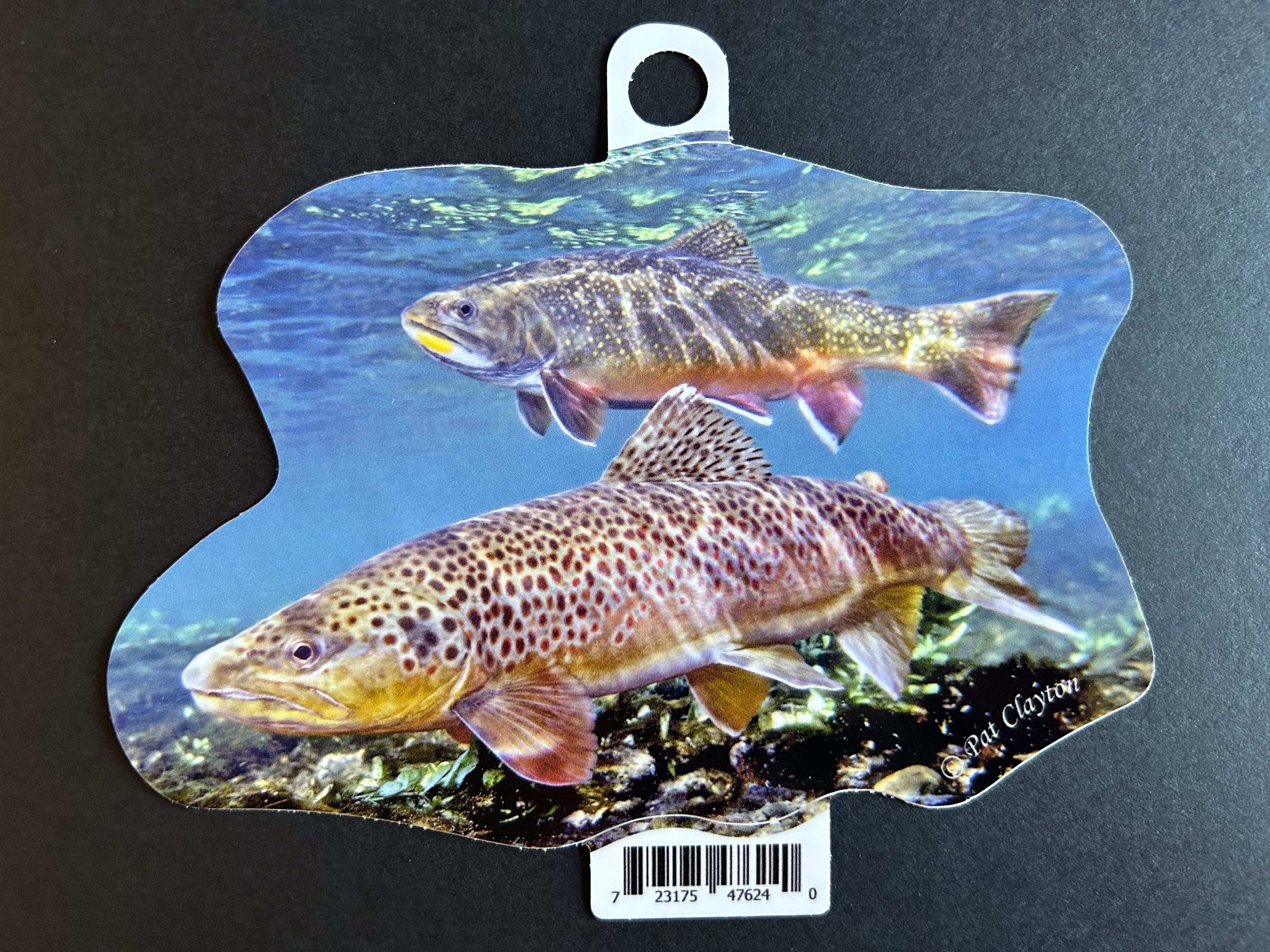 Brown and Brook Trout Vinyl Sticker - 6" Die Cut