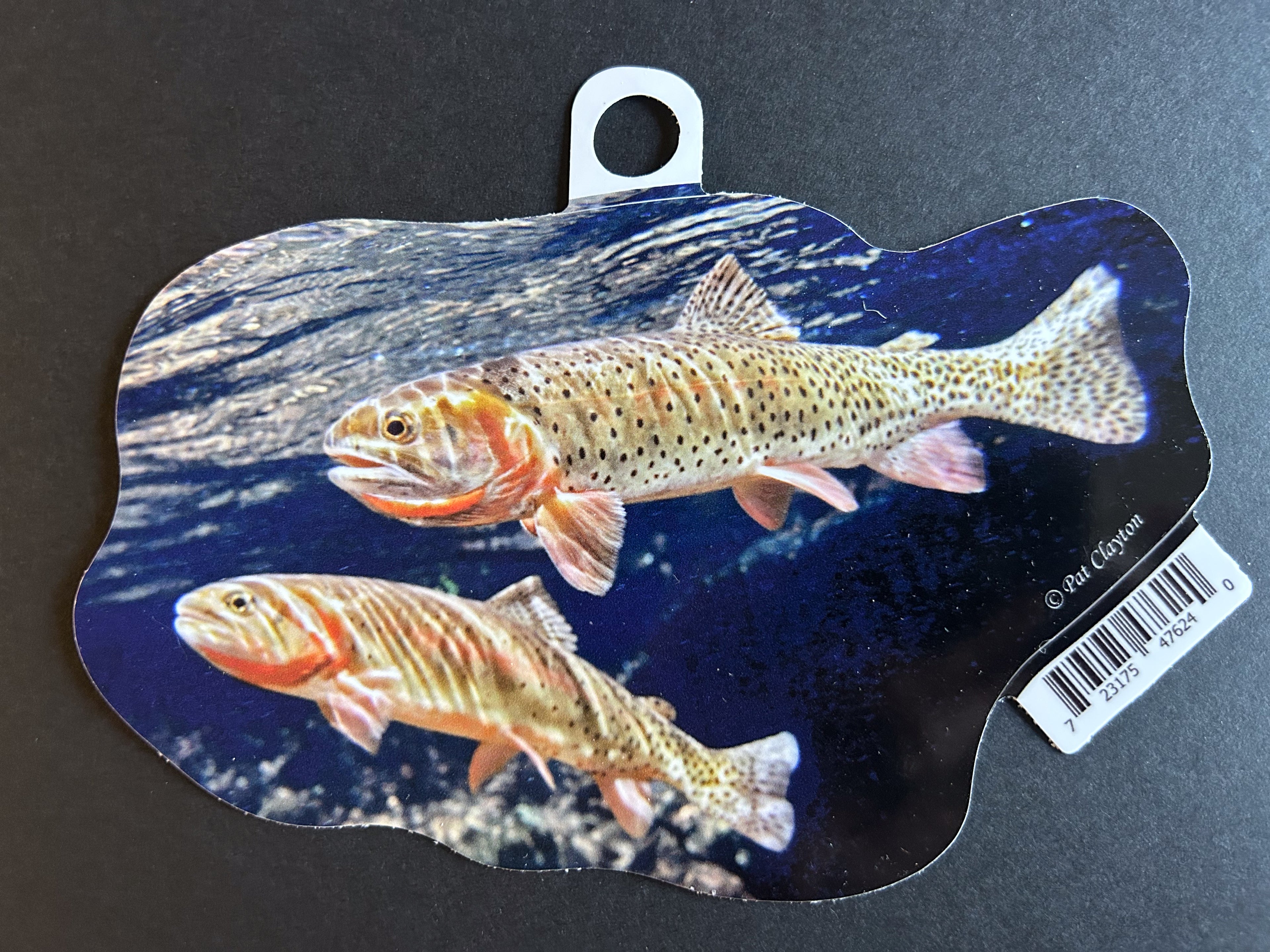 Colorado Cutthroat Pair, Trout Vinyl Sticker - 6" Die Cut Sticker