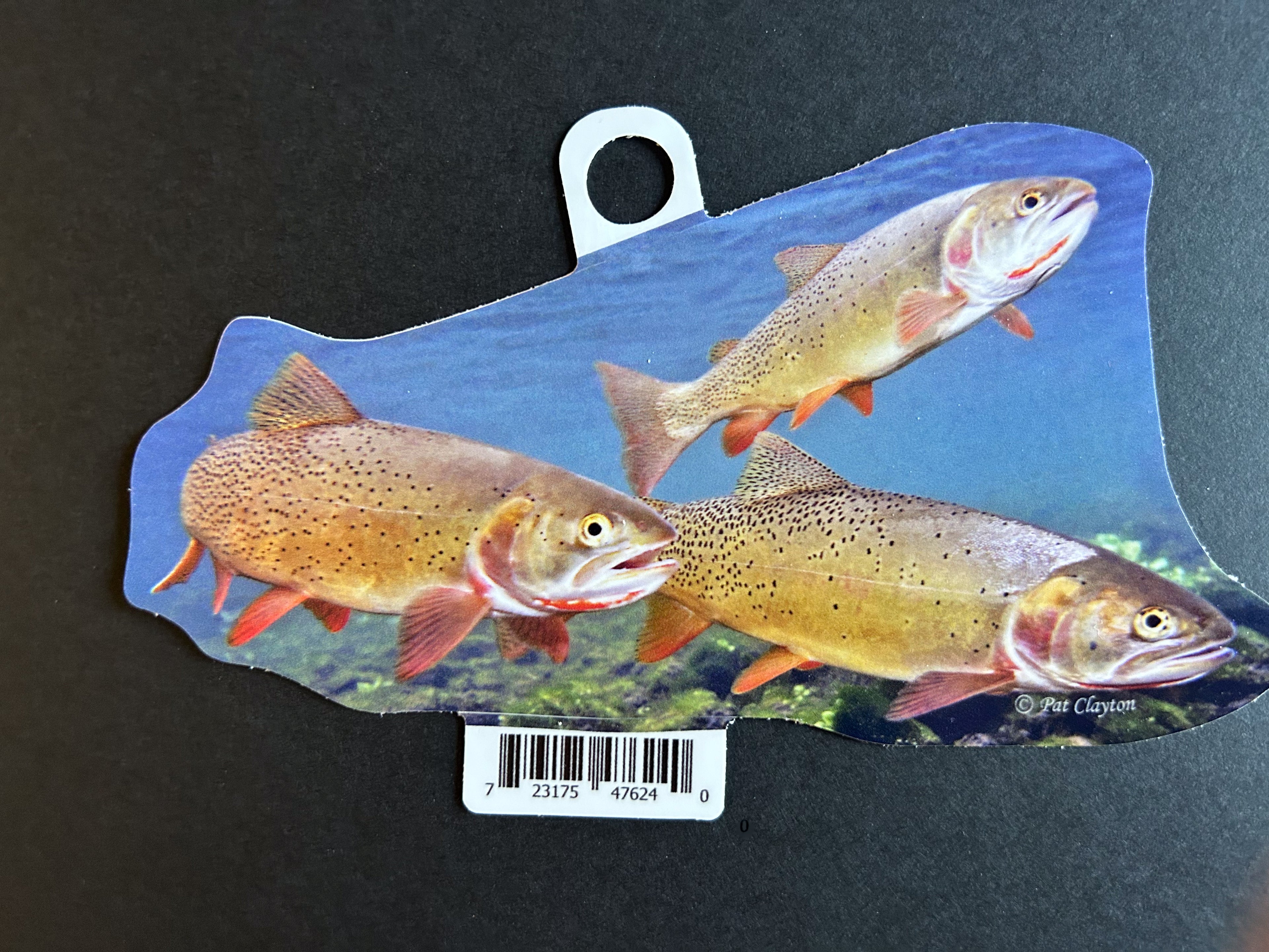 Fine Spotted Cutthroat Trout Vinyl Sticker - TRT - FSC - 13