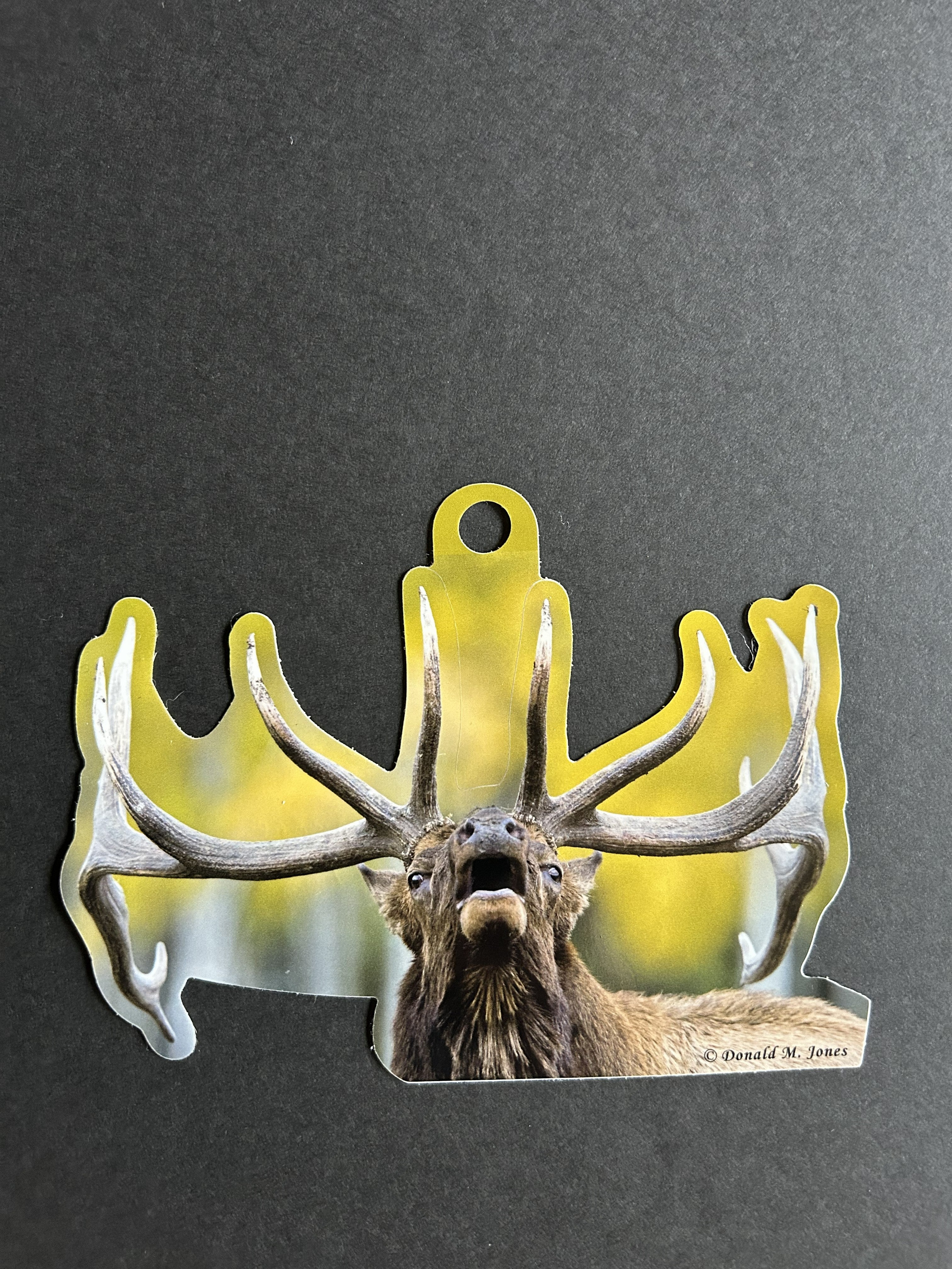 Majestic Bull Elk Bugling Vinyl Sticker - 6" Die Cut