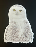 Snowy Owl with Piercing Yellow Eyes