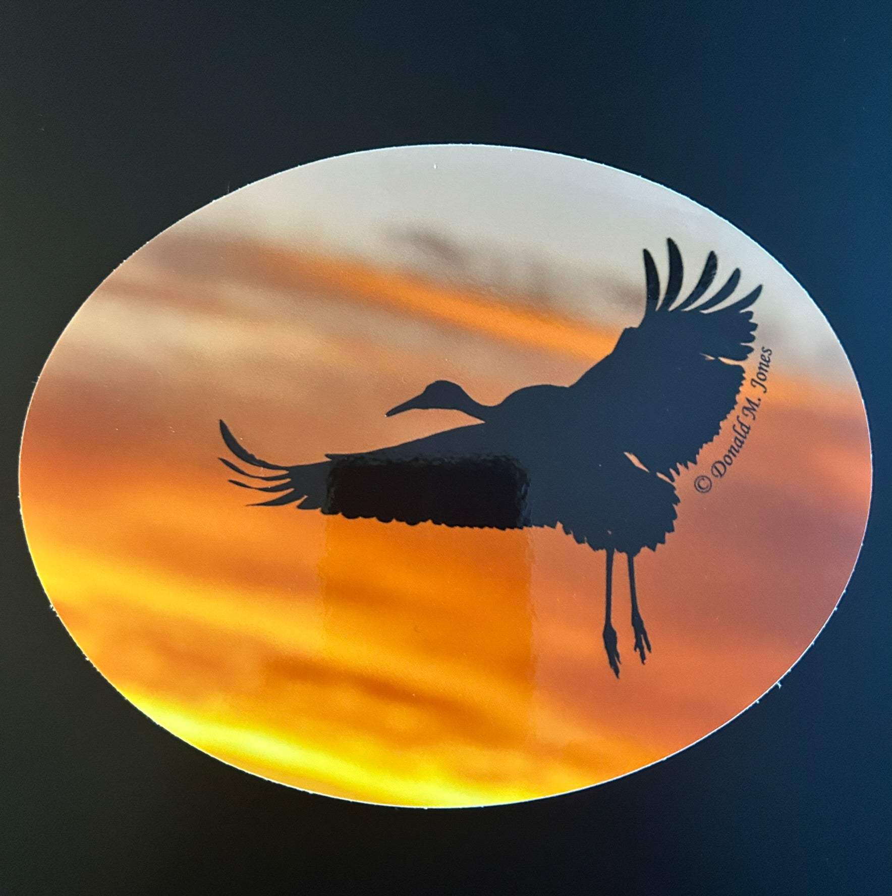 Sandhill Crane - Silhouette in Flight