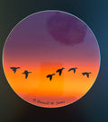 Mallard Ducks - Silhouette at Dusk