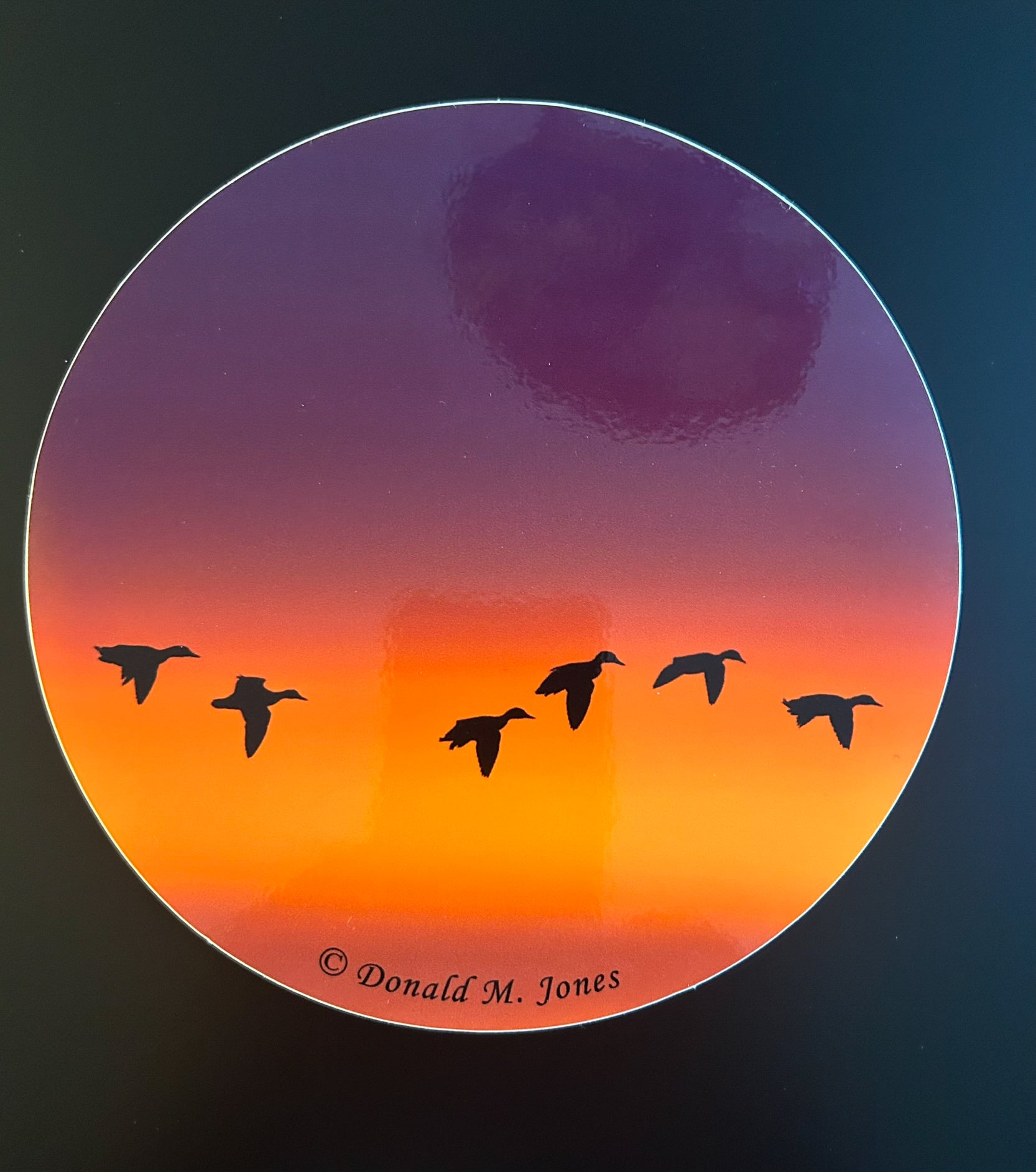 Mallard Ducks - Silhouette at Dusk