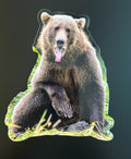 Grizzly Bear - Yawning