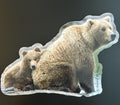 Grizzly Sow with Cup peeking out