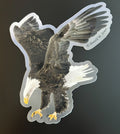 Bald Eagle - Talons Extended