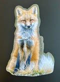 Red Fox - Full Colors on Display