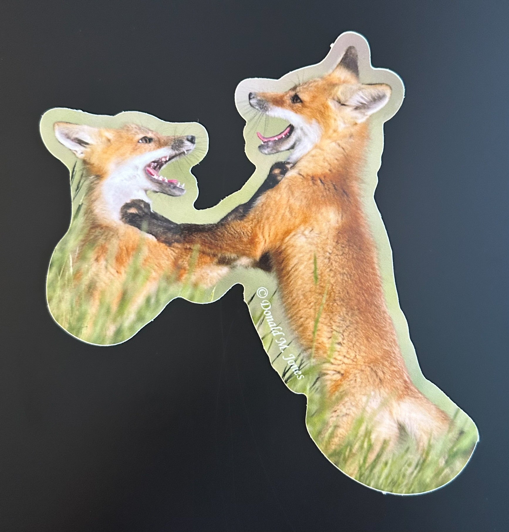 Fox Kits Playing