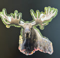 Bull Moose - Massive Paddlehead Filling the Frame