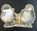 Northern Pintails, Male and Female Courtship