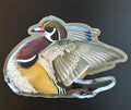 Wood Duck - Beautiful Colors Stretching Wings